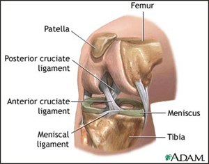 New Anterior Cruciate Ligament Surgery